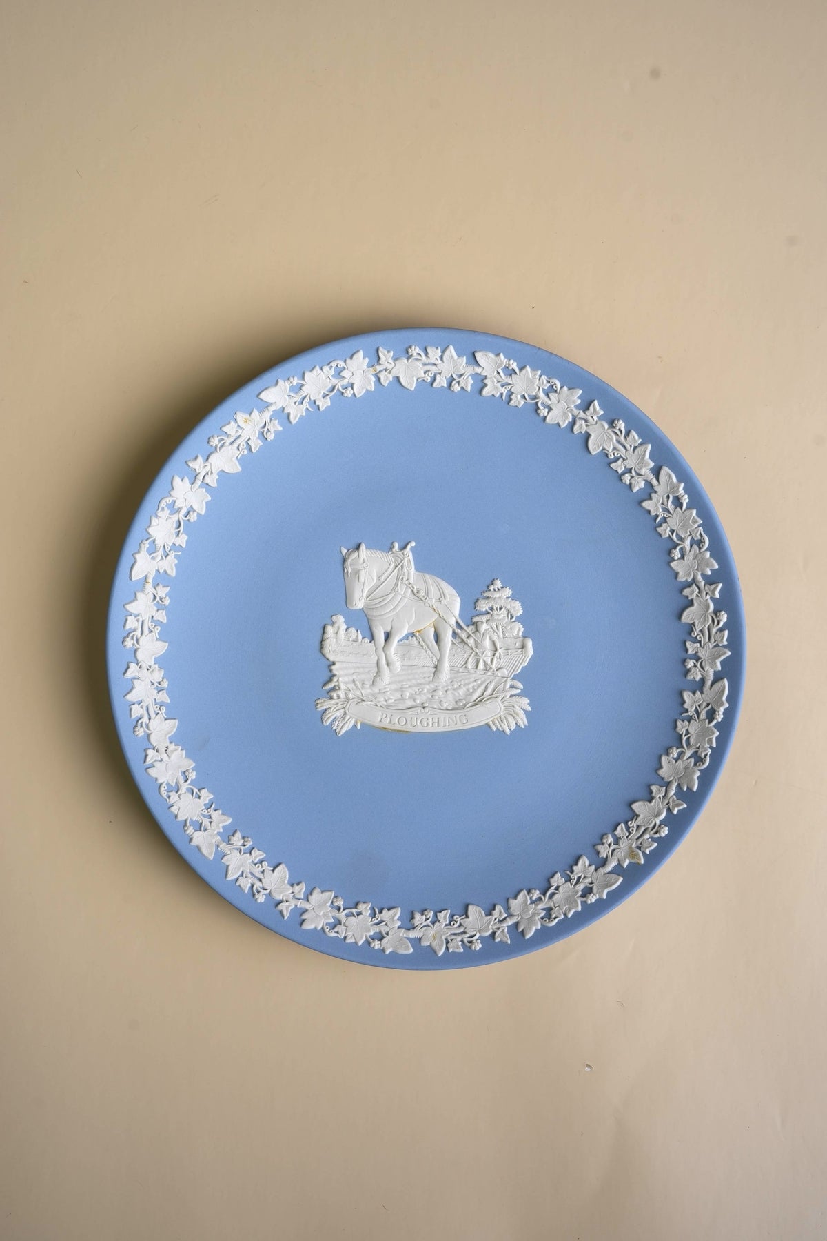 Jasperware Wedgwood Plate