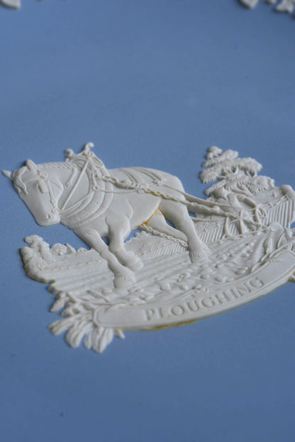 Jasperware Wedgwood Plate